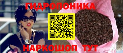 крисы Севастополь